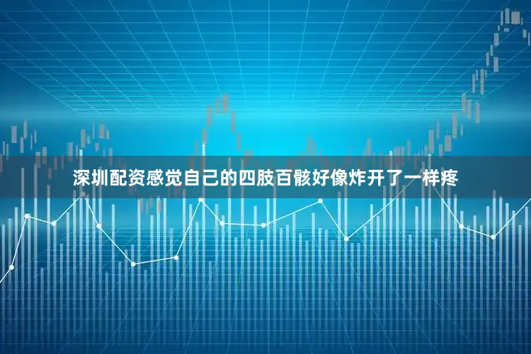 深圳配资感觉自己的四肢百骸好像炸开了一样疼