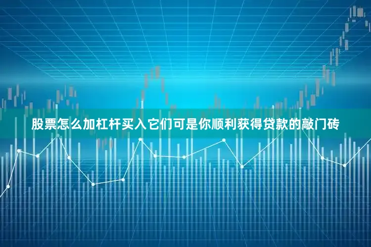 股票怎么加杠杆买入它们可是你顺利获得贷款的敲门砖
