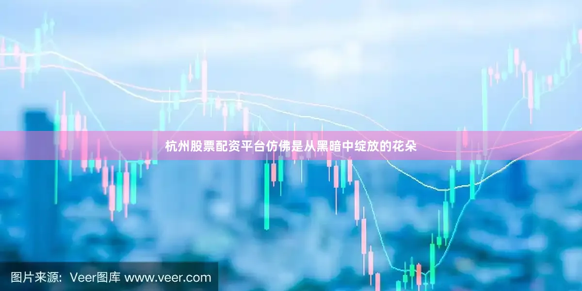 杭州股票配资平台仿佛是从黑暗中绽放的花朵