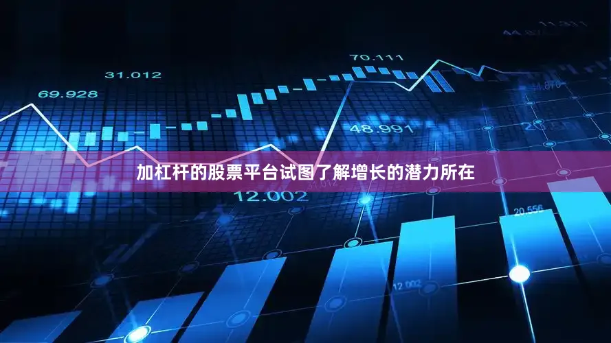 加杠杆的股票平台试图了解增长的潜力所在