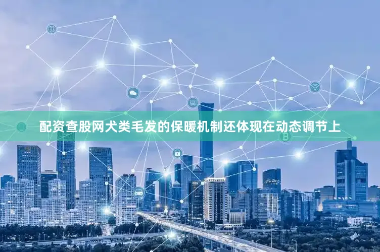 配资查股网犬类毛发的保暖机制还体现在动态调节上