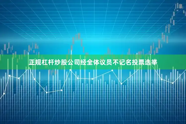 正规杠杆炒股公司经全体议员不记名投票选举