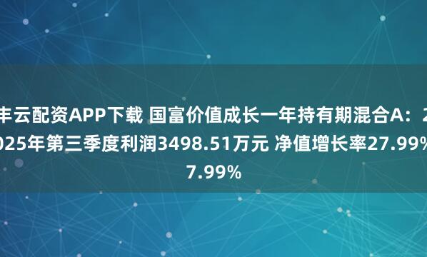 丰云配资APP下载 国富价值成长一年持有期混合A：2025年第三季度利润3498.51万元 净值增长率27.99%