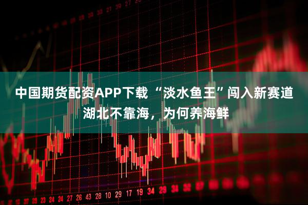 中国期货配资APP下载 “淡水鱼王”闯入新赛道 湖北不靠海，为何养海鲜